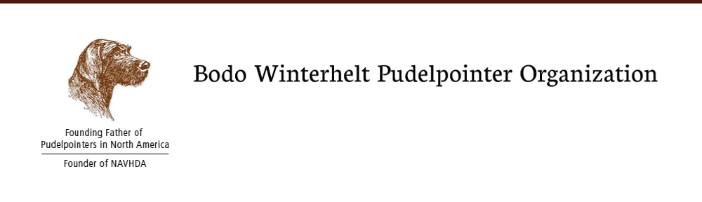 Bodo Winterhelt Pudelpointer Organization